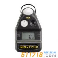 美國SENSIT P100單一氣體檢測(cè)儀