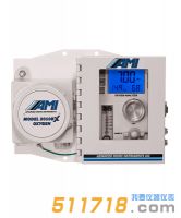 美國AMI 2010BX痕量氧分析儀