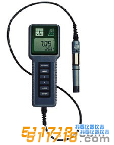 美國YSI 63型酸度、鹽度、電導、溫度測量儀